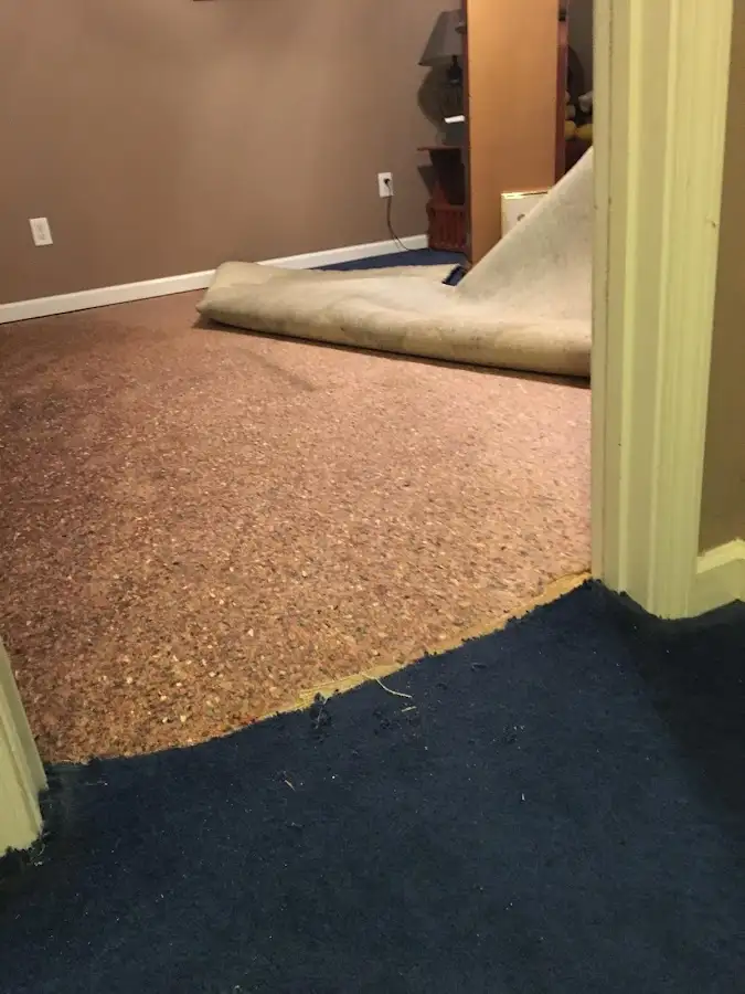 Carpet pad removal revealing water damage during Drying & Dehumidification in South Run