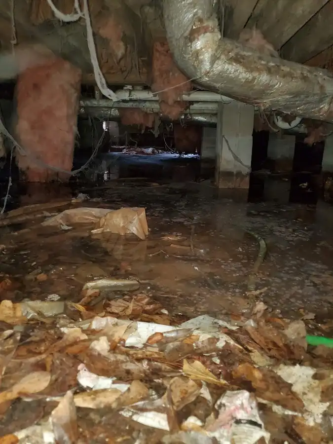 Crawl space flood assessment for Leak Detection & Repair in South Run