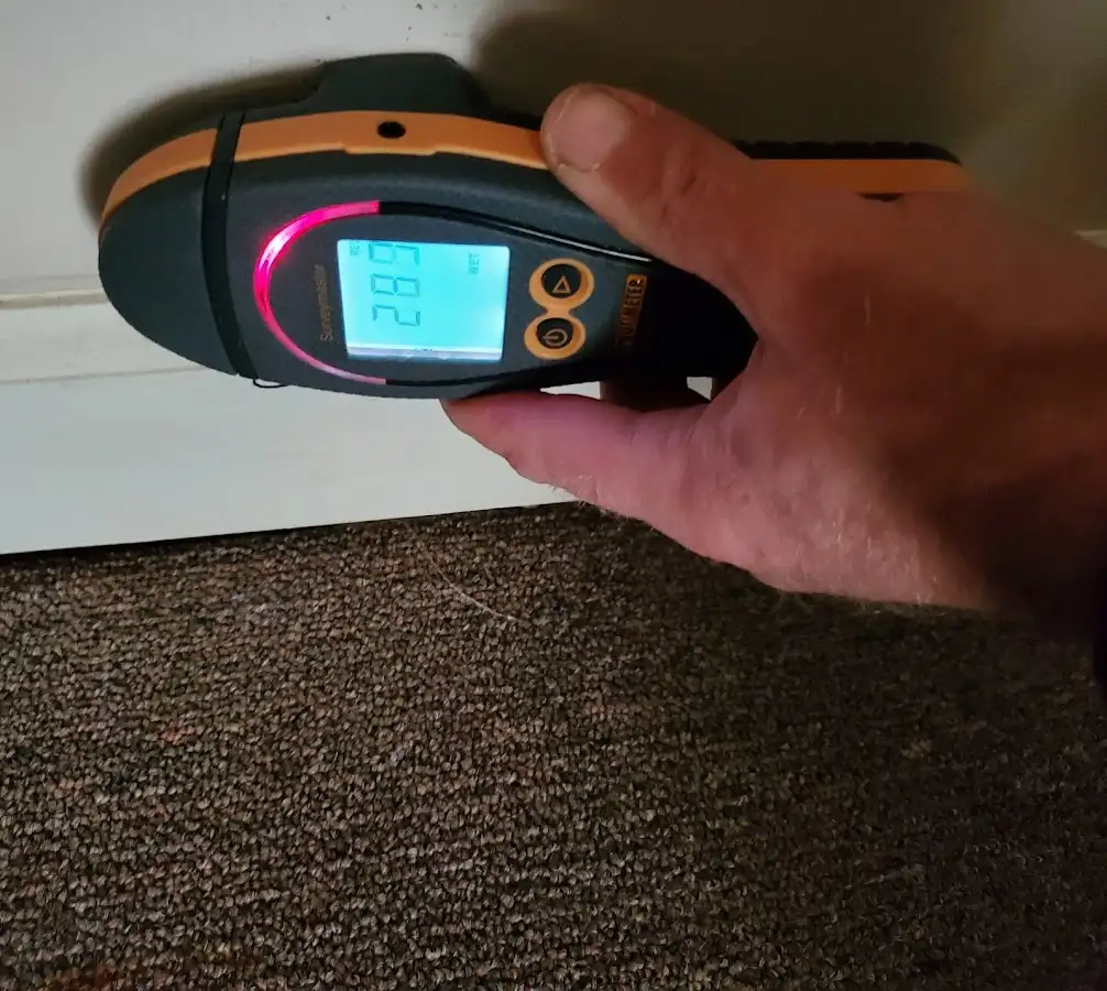 Moisture detection at baseboard during Mold Inspection & Testing in South Run